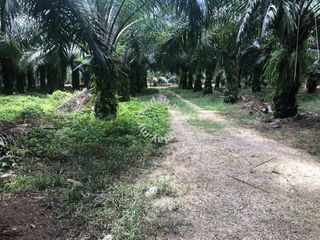 (Category: ) located in . Submitted by hanafi2k73066 (Listing ID 1395709381, Image 1). Description: .