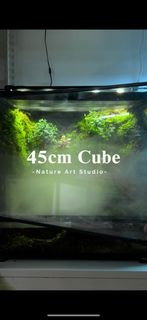 (Category: ) located in . Submitted by nature_art_studio (Listing ID 1390604426, Image 1). Description: .
