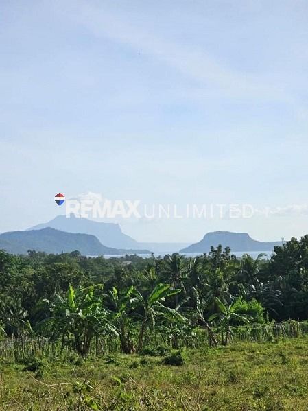 For Sale Agricultural Lot (Category: Lot) located in Makati City. Submitted by REMAXUNLIMITEDPH (Listing ID 1390682977, Image 3). Description: For Sale Batangas Property * 2.3 hectares * Agricultural * Main road access * 10min from Tanauan exit * Great view of Taal Lake * Clean title 3k/ sqm negotiable Gerrick Suarez Remax Unlimited.