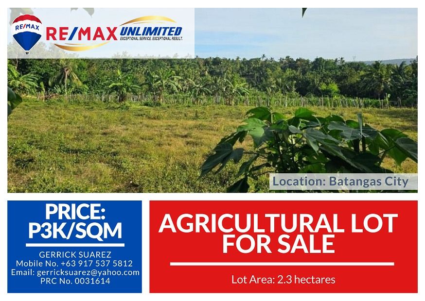 For Sale Agricultural Lot (Category: Lot) located in Makati City. Submitted by REMAXUNLIMITEDPH (Listing ID 1390682977, Image 1). Description: For Sale Batangas Property * 2.3 hectares * Agricultural * Main road access * 10min from Tanauan exit * Great view of Taal Lake * Clean title 3k/ sqm negotiable Gerrick Suarez Remax Unlimited.
