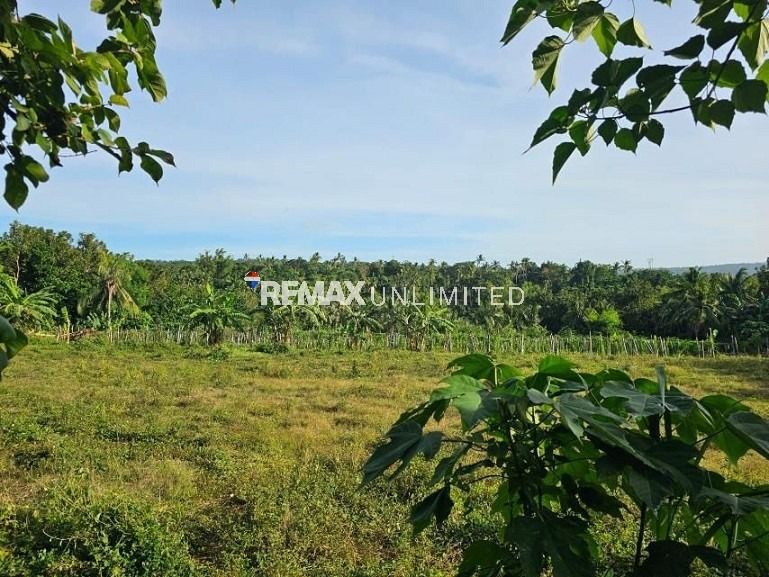 For Sale Agricultural Lot (Category: Lot) located in Makati City. Submitted by REMAXUNLIMITEDPH (Listing ID 1390682977, Image 2). Description: For Sale Batangas Property * 2.3 hectares * Agricultural * Main road access * 10min from Tanauan exit * Great view of Taal Lake * Clean title 3k/ sqm negotiable Gerrick Suarez Remax Unlimited.