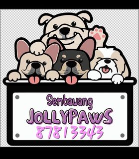(Category: ) located in . Submitted by jollypaws_sg (Listing ID 1390700249, Image 1). Description: .
