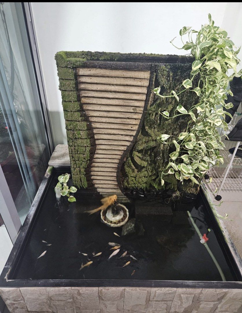 Indoor Water Feature with Fish and Plants, Furniture & Home Living