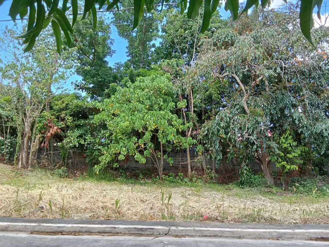 (Category: ) located in . Submitted by nedrl (Listing ID 1390683732, Image 1). Description: .