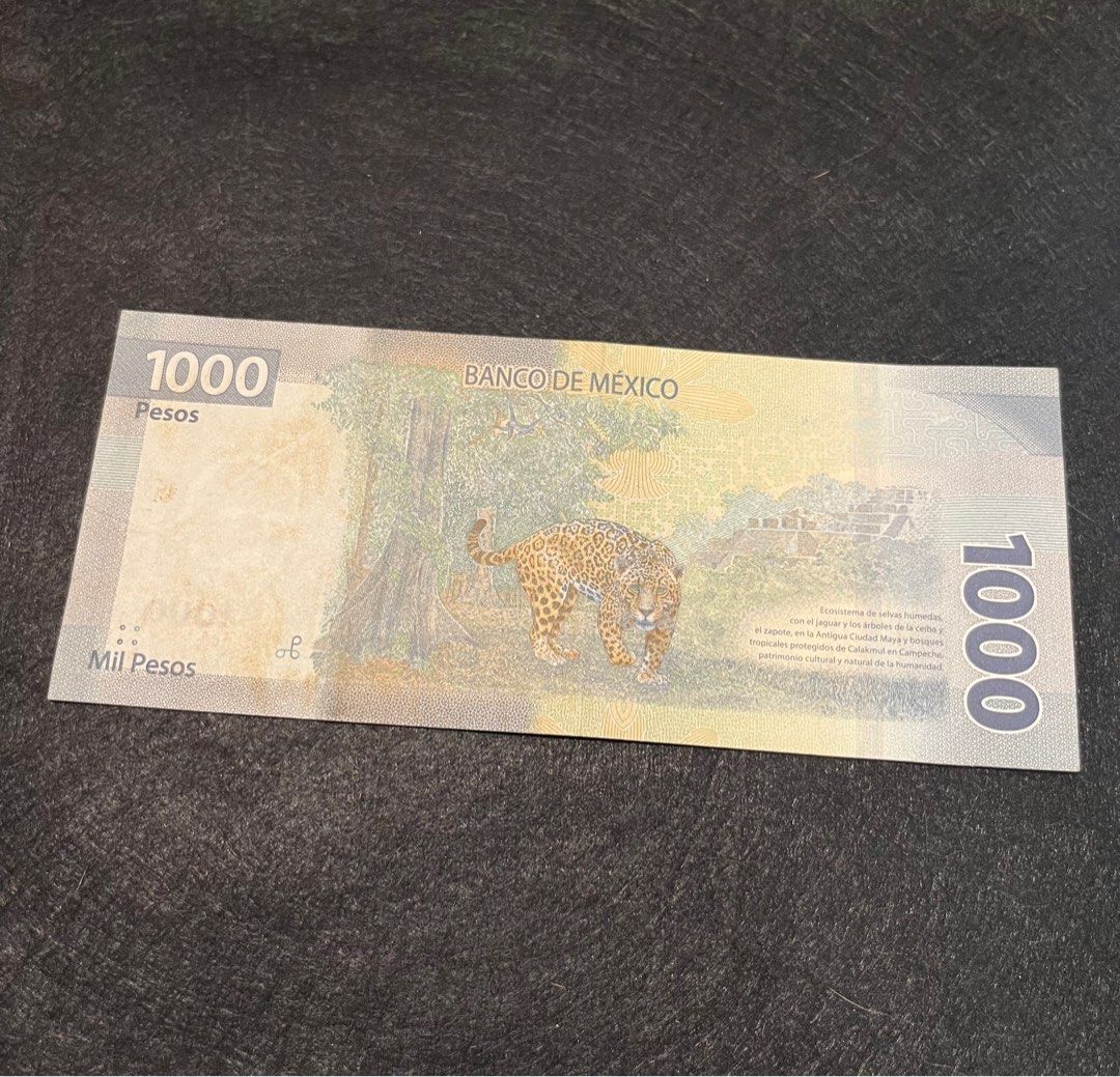 2023年墨西哥1,000 比索紙幣1,000 Mexico Pesos 1,000 MXN, 興趣及遊戲, 收藏品及紀念品, 錢幣-  Carousell