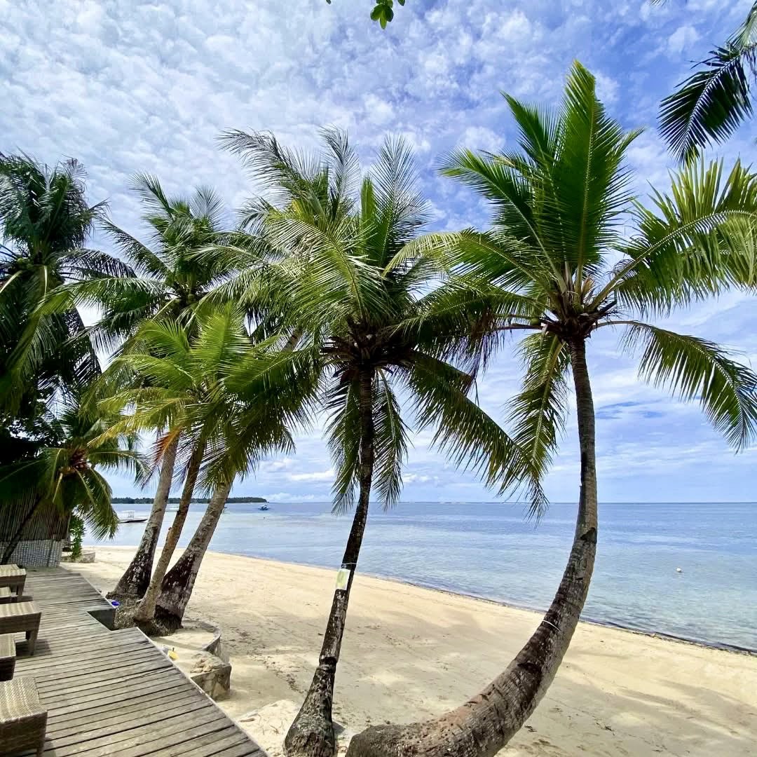 (Category: ) located in . Submitted by yourpropertyph2021 (Listing ID 1384188177, Image 1). Description: .