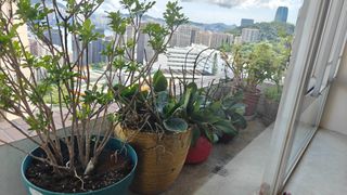 （分類：）位於 。 由 henhk 提交（商品編號 1390796471，圖片 1）。簡介： 。