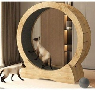(Category: ) located in . Submitted by joggerislandfurniture (Listing ID 1391123928, Image 1). Description: .