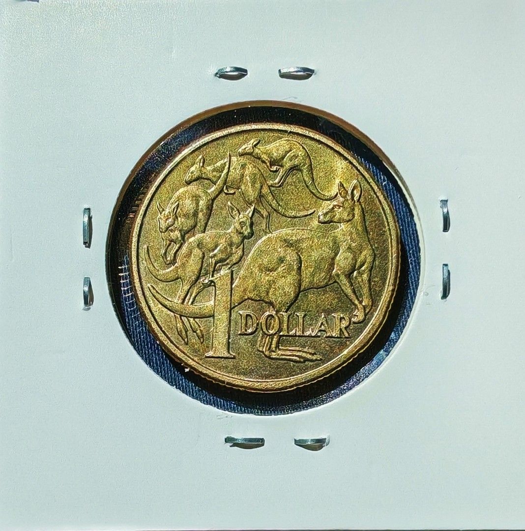 🇦🇺澳洲1985年袋鼠一元, 興趣及遊戲, 收藏品及紀念品, 錢幣- Carousell