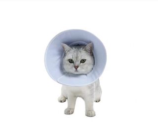 （分類：）位於 。 由 kkwkckk 提交（商品編號 1391058422，圖片 1）。簡介： 。