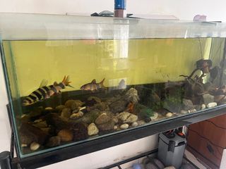 (Category: ) located in . Submitted by zeelkeftley (Listing ID 1391016374, Image 1). Description: .