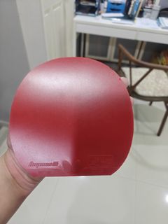 (Category: ) located in . Submitted by Professional_tabletennis (Listing ID 1391111401, Image 1). Description: .