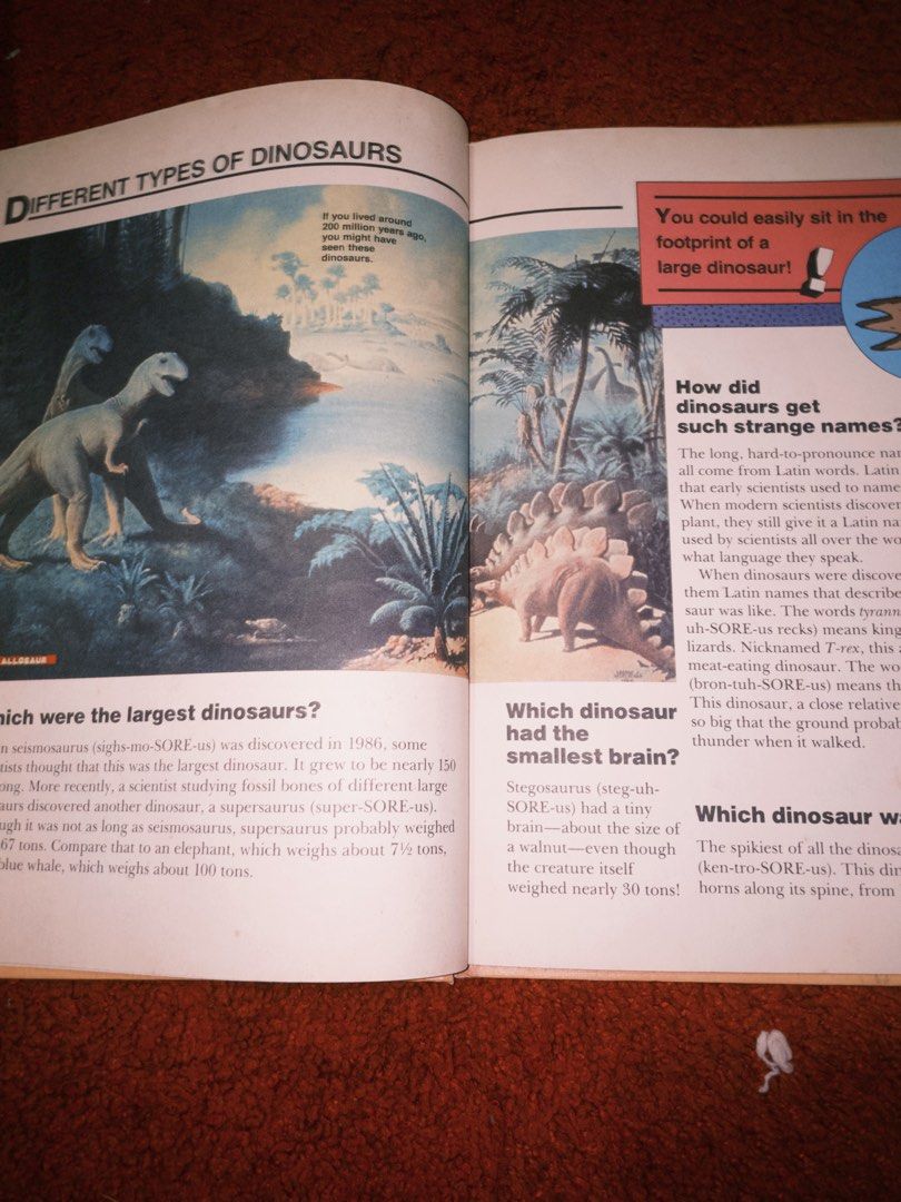 Charlie brown’s Cyclopedia (Category: Children's Books) located in Angeles City. Submitted by delabatopro (Listing ID 1391092133, Image 2). Description: Orginal .