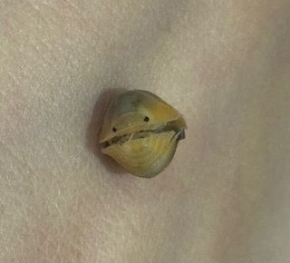(Category: ) located in . Submitted by mishmich (Listing ID 1391202230, Image 1). Description: .