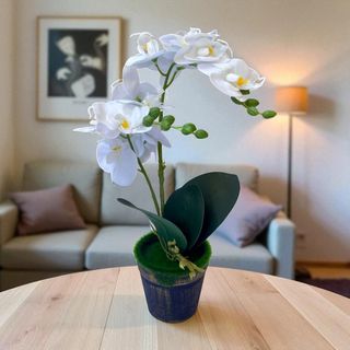 (Category: ) located in . Submitted by altonflowerscomm (Listing ID 1391176688, Image 1). Description: .