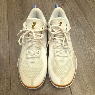 リーニン Dlo1 「門徒」US9.5 li ning シューズのおすすめ人気