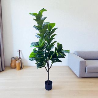 (Category: ) located in . Submitted by altonflowerscomm (Listing ID 1391419767, Image 1). Description: .