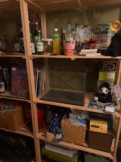 (Category: ) located in . Submitted by tyniico (Listing ID 1391355401, Image 1). Description: .