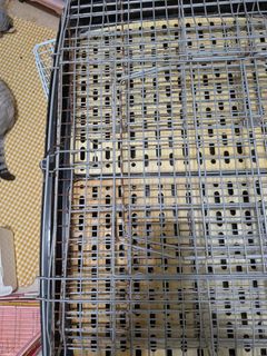 由 weibear (刊登 ID 1391539354，圖片 1) 提交，位於 的 (類別：)，說明：。