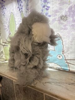 （分類：）位於 。 由 happyrabbit.3dce48 提交（商品編號 1391450932，圖片 1）。簡介： 。