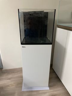 （分類：）位於 。 由 mmlla 提交（商品編號 1391428909，圖片 1）。簡介： 。