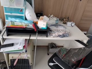 (Category: ) located in . Submitted by tigermommie (Listing ID 1391410978, Image 1). Description: .