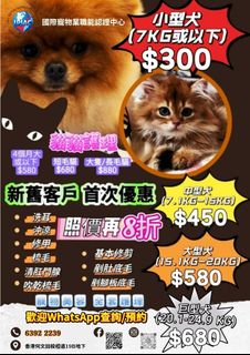 （分類：）位於 。 由 toyman2018 提交（商品編號 1391551717，圖片 1）。簡介： 。