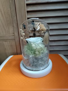 （分類：）位於 。 由 kccfkskm 提交（商品編號 1391616327，圖片 1）。簡介： 。