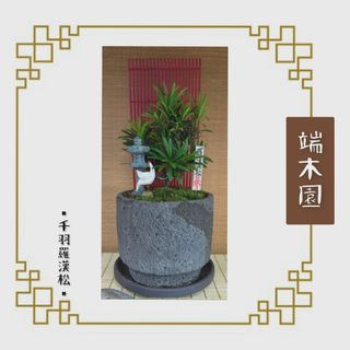 （分類：）位於 。 由 sincerethoughts 提交（商品編號 1391739577，圖片 1）。簡介： 。