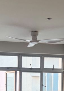 (Category: ) located in . Submitted by Roshan (Listing ID 1391705043, Image 1). Description: .