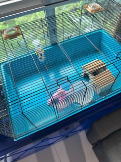 (Category: ) located in . Submitted by naj24 (Listing ID 1391600689, Image 1). Description: .