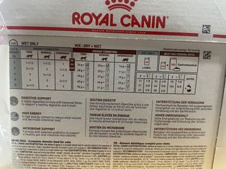 （分類：）位於 。 由 ttchan91 提交（商品編號 1391690505，圖片 1）。簡介： 。
