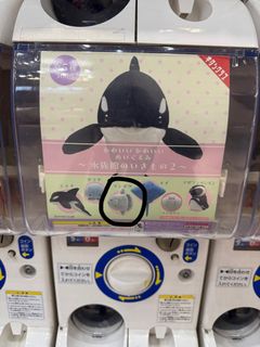 （分類：）位於 。 由 hanadaisuki 提交（商品編號 1413008563，圖片 1）。簡介： 。