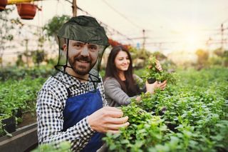 （分類：）位於 。 由 factorydirectprice 提交（商品編號 1412875177，圖片 1）。簡介： 。