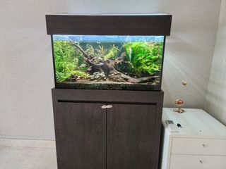 (Category: ) located in . Submitted by afrancislim (Listing ID 1412911820, Image 1). Description: .