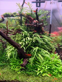 (Category: ) located in . Submitted by wengh1015 (Listing ID 1412827713, Image 1). Description: .