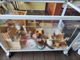 (Category: ) located in . Submitted by eaglevision21 (Listing ID 1412986306, Image 1). Description: .