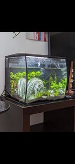 (Category: ) located in . Submitted by llapitskaia (Listing ID 1412971282, Image 1). Description: .