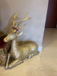(Category: ) located in . Submitted by PRiya (Listing ID 1412882224, Image 1). Description: .