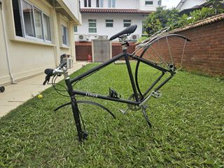(Category: ) located in . Submitted by coconutisland (Listing ID 1412982786, Image 1). Description: .