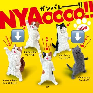（分類：）位於 。 由 kiety 提交（商品編號 1413016274，圖片 1）。簡介： 。