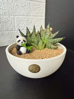 (Category: ) located in . Submitted by kysss (Listing ID 1412994218, Image 1). Description: .