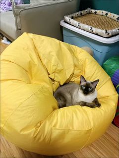 （分類：）位於 。 由 mystylehome 提交（商品編號 1413003459，圖片 1）。簡介： 。