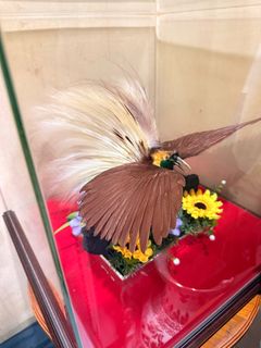(Category: ) located in . Submitted by Pgt208 (Listing ID 1412992874, Image 1). Description: .