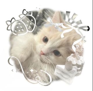 (Category: ) located in . Submitted by havens_shop (Listing ID 1412932016, Image 1). Description: .