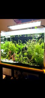(Category: ) located in . Submitted by llapitskaia (Listing ID 1412969343, Image 1). Description: .