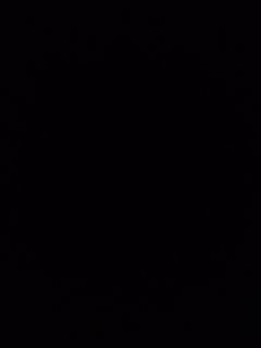 (Category: ) located in . Submitted by bedoktortoise (Listing ID 1412934508, Image 1). Description: .
