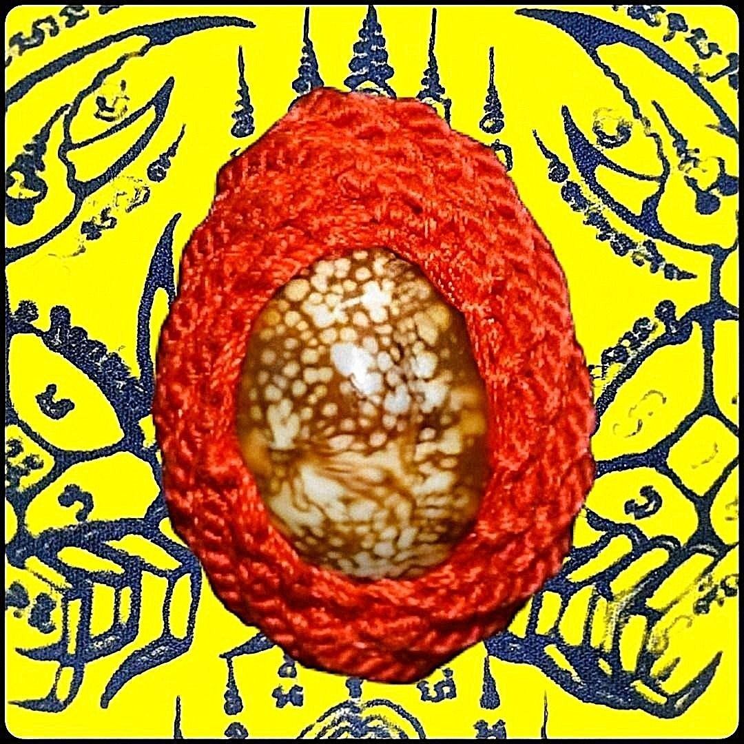 Bia Gae Shell Amulet/Biagae Cowry Shell with Takrut, LP Thong Dam, Wat ...
