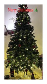 (Category: ) located in . Submitted by gentle.isabeld (Listing ID 1414729836, Image 1). Description: .