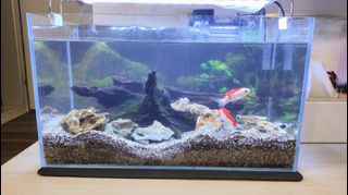 (Category: ) located in . Submitted by ezrayongwei (Listing ID 1414682201, Image 1). Description: .